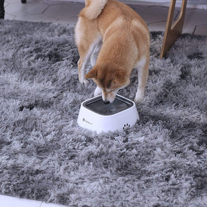 Food Bowls & Water Bowls