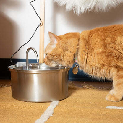 Fauven™ Stainless steel cat fountain