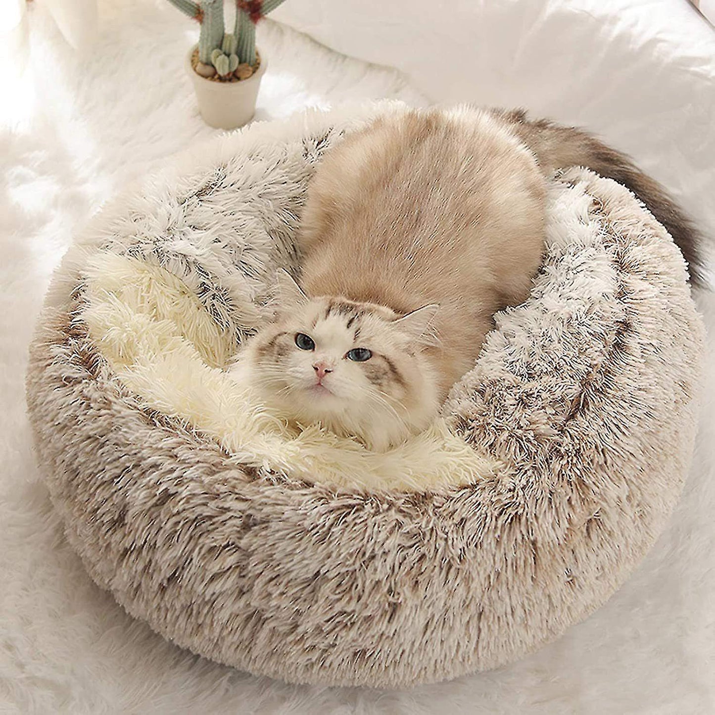 Fauven™ Calming Cat Bed