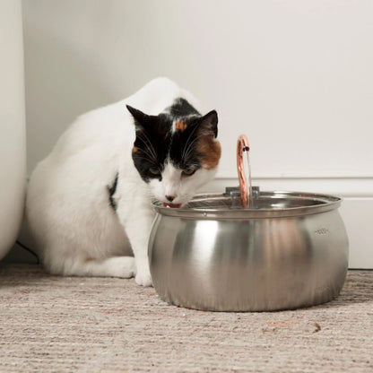 Fauven™ Stainless steel cat fountain