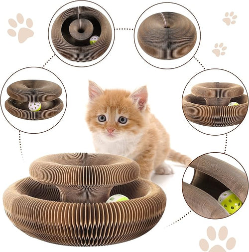 Fauven™ Organ cat toy