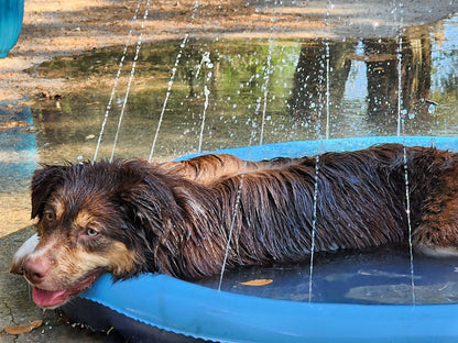 Fauven™ Dog Sprinkler Splash Pad