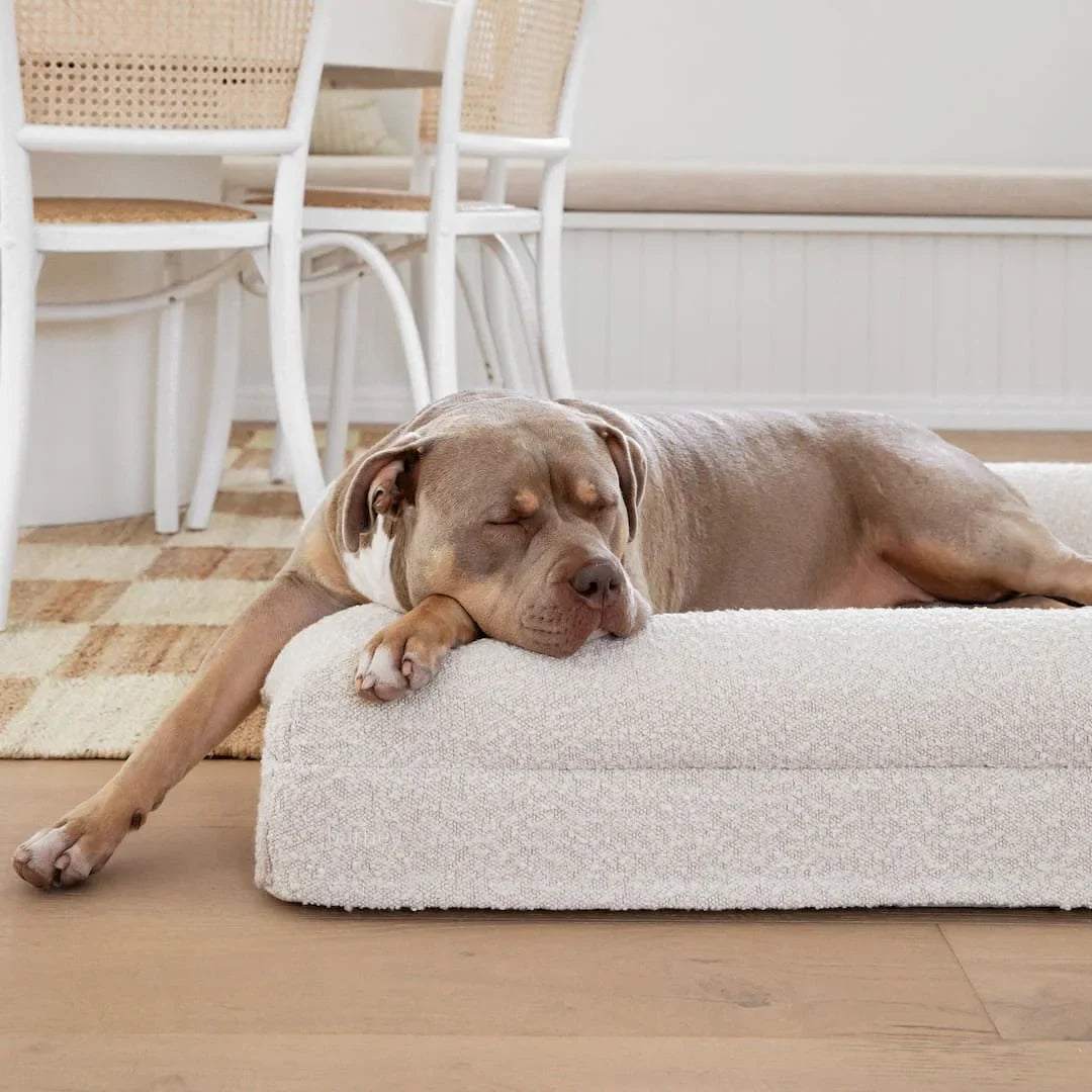 Fauven™ Orthopedic Dog Bed