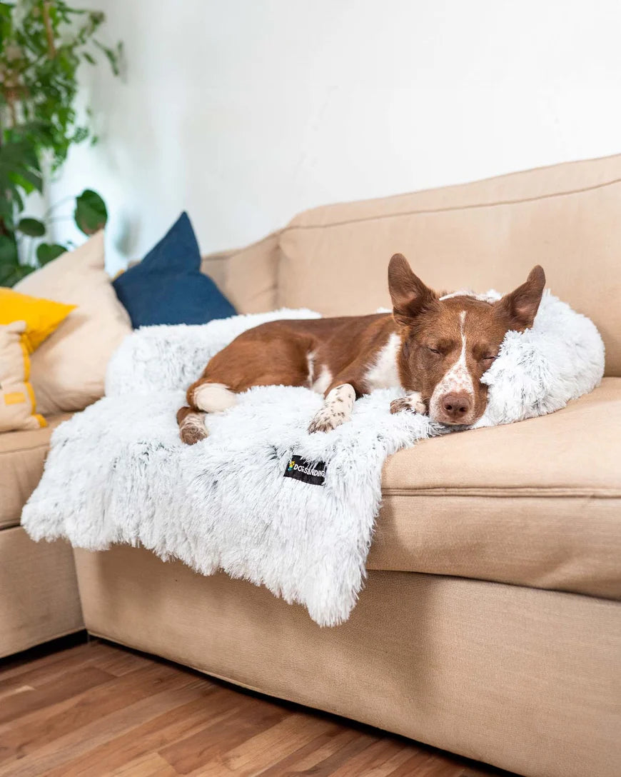 Fauven™ Pet Couch Cover Protector