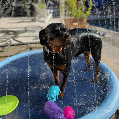 Fauven™ Dog Sprinkler Splash Pad