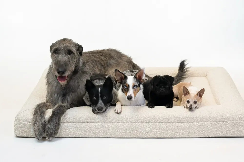 Fauven™ Orthopedic Dog Bed