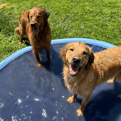 Fauven™ Dog Sprinkler Splash Pad